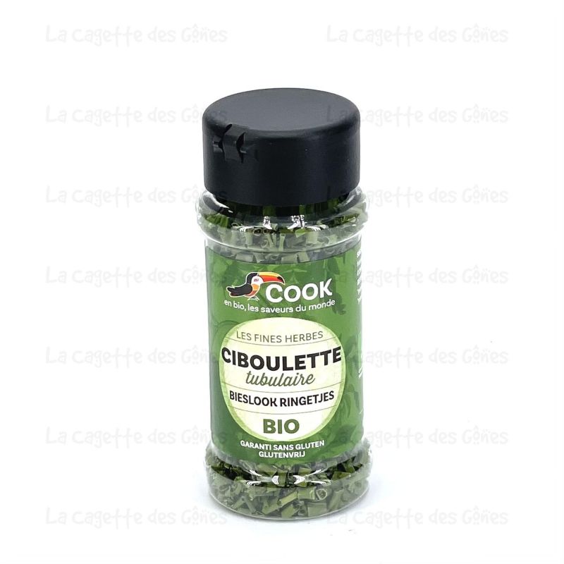 CIBOULETTE TUBULAIRE 'COOK' 6G