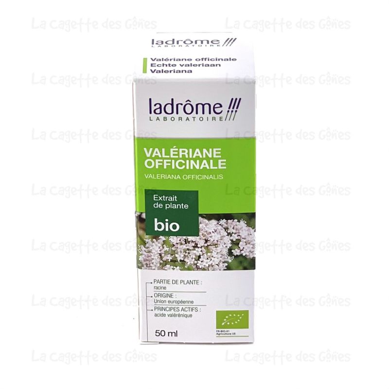 VALERIANE OFFICINALE