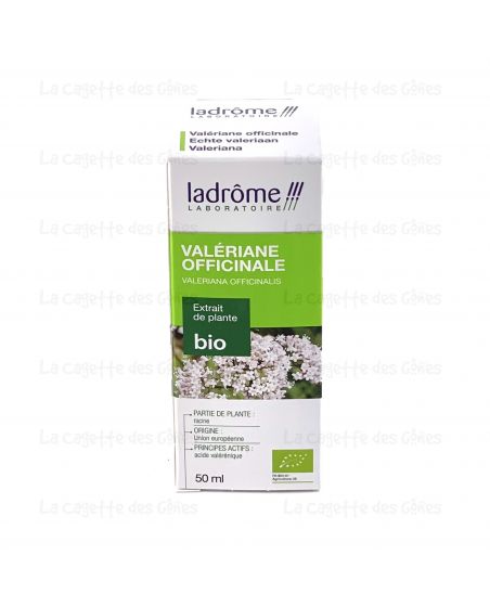 VALERIANE OFFICINALE