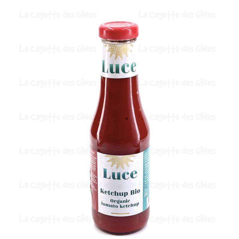 KETCHUP BOUTEILLE VERRE 480G