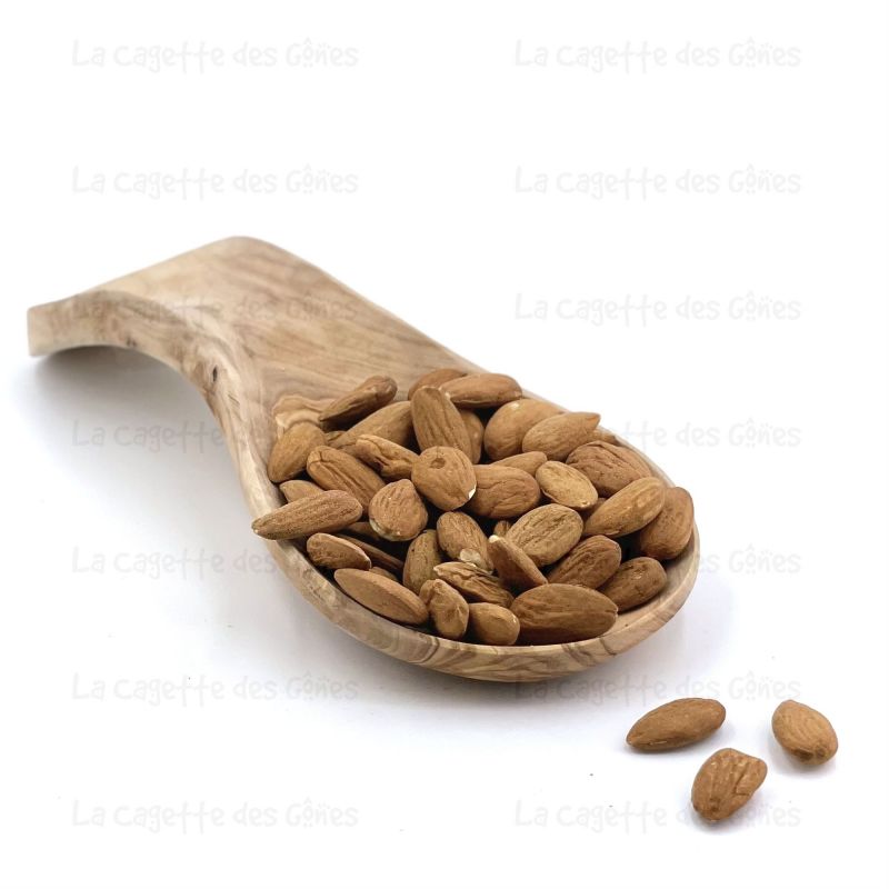 AMANDES DECORTIQUEES