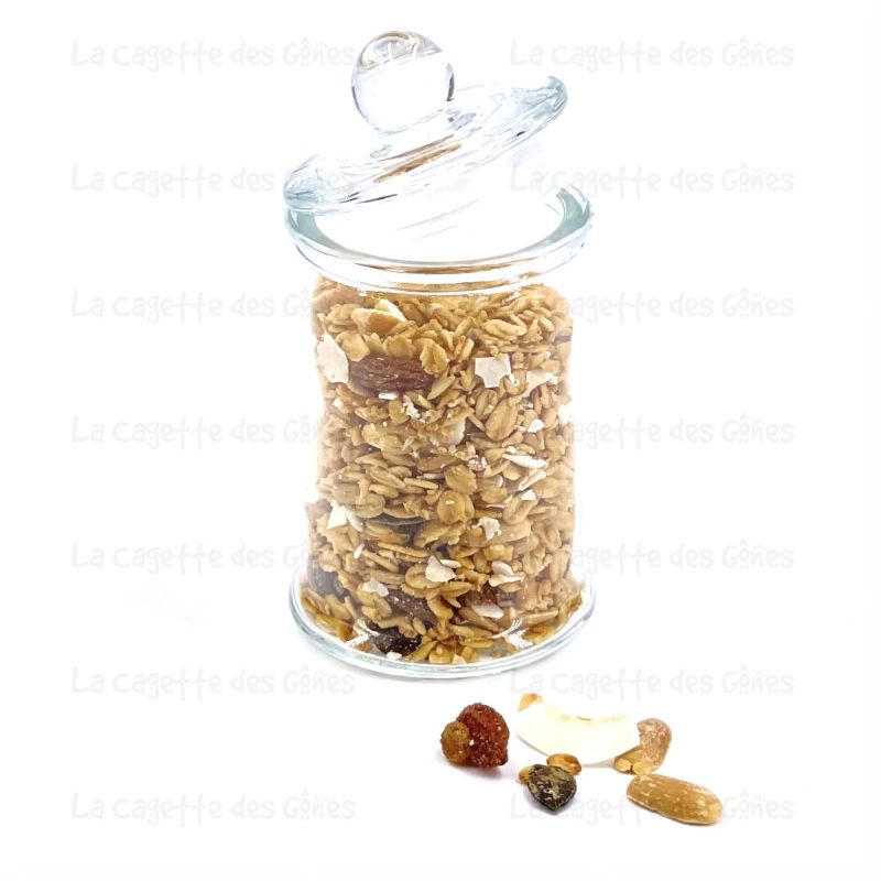 GRANOLA CACAHUETE RAISIN