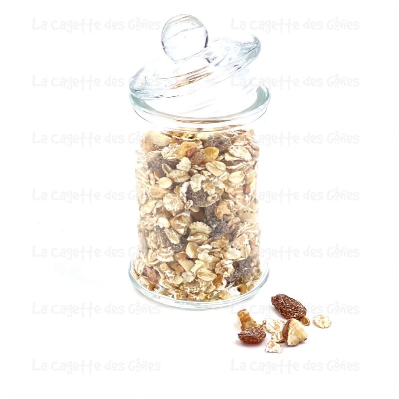 MUESLI MONTAGNARD