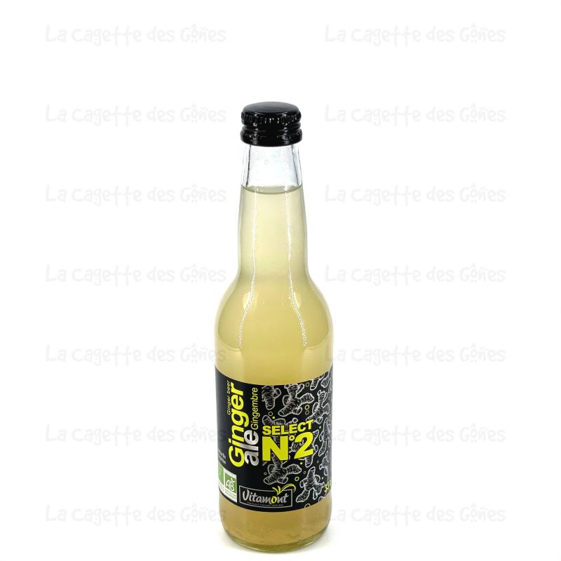 GINGER 33CL