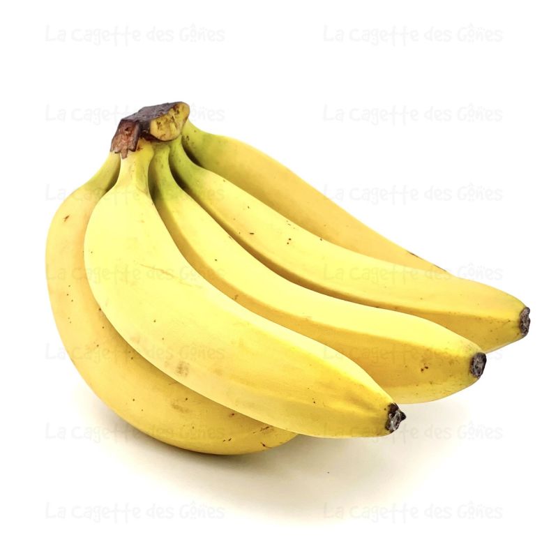 BANANE au Kg