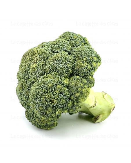 CHOU BROCOLI au Kg FRANCE