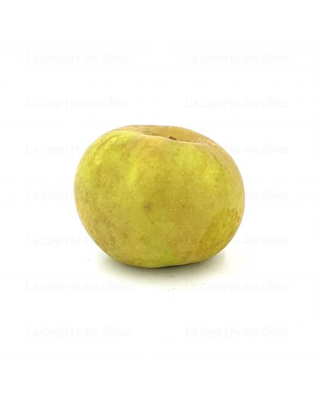 POMME CANADA GRISE